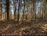 0 Kelly Ln - Photo 5