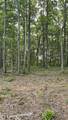 0 Bluff Pt - Photo 11