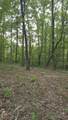 0 Bluff Pt - Photo 10