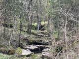 0 Turkey Branch Rd - Photo 2