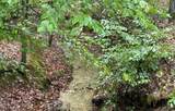 1 Cave Branch Rd - Photo 2