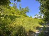 0 Bald Eagle Ln - Photo 5