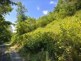 0 Bald Eagle Ln - Photo 6