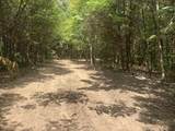 0 Upper Creek Rd - Photo 16