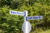 359 Walking Horse Tr - Photo 3