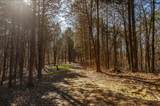 8870 Rocky Fork Rd - Photo 17
