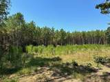 586 Seiber Ridge Rd - Photo 11