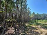 586 Seiber Ridge Rd - Photo 12