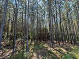 586 Seiber Ridge Rd - Photo 14