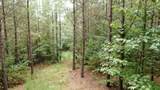 586 Seiber Ridge Rd - Photo 19