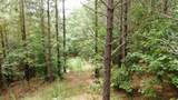 586 Seiber Ridge Rd - Photo 20