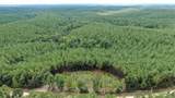 586 Seiber Ridge Rd - Photo 4