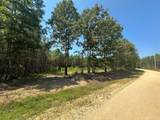 586 Seiber Ridge Rd - Photo 8