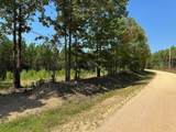 586 Seiber Ridge Rd - Photo 10