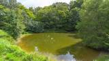 2882 Mobley Ridge Road - Photo 47