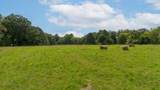 2882 Mobley Ridge Road - Photo 53