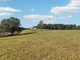 0 West Lick Creek Road - Photo 40