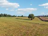0 West Lick Creek Road - Photo 42