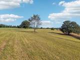 0 West Lick Creek Road - Photo 43
