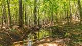 0 Ridgetop Rd - Photo 48