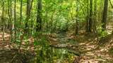 0 Ridgetop Rd - Photo 52