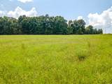 0 Nashville Highway - Photo 18