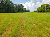 0 Nashville Highway - Photo 19