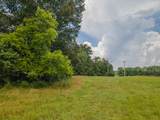 0 Nashville Highway - Photo 33
