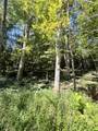 0 Big Sink Road - Photo 16