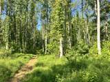 0 Big Sink Road - Photo 7
