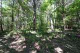 0 Flippo Branch Rd - Photo 12