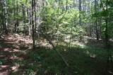 0 Flippo Branch Rd - Photo 13