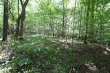 0 Flippo Branch Rd - Photo 16