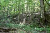 0 Flippo Branch Rd - Photo 18