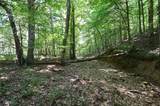 0 Flippo Branch Rd - Photo 19