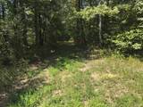 0 Flippo Branch Rd - Photo 8