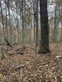 0 Wilderness Trail - Photo 23