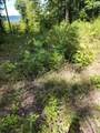 0 Tomahawk Rd - Photo 53