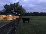 2202 Darks Mill Rd - Photo 79