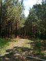 6004 Old Hohenwald Rd - Photo 23