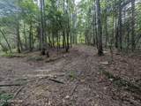 0 Hollow Creek Lane - Photo 15