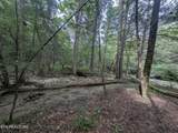 0 Hollow Creek Lane - Photo 17