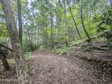 0 Hollow Creek Lane - Photo 18
