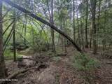0 Hollow Creek Lane - Photo 19