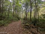 0 Hollow Creek Lane - Photo 24