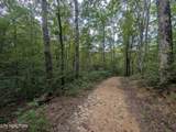 0 Hollow Creek Lane - Photo 4