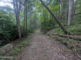 0 Hollow Creek Lane - Photo 6