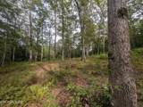 0 Hollow Creek Lane - Photo 10