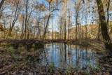10688 Pine Hill Road - Photo 24