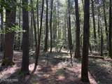 151 Forest View Drive - Photo 39